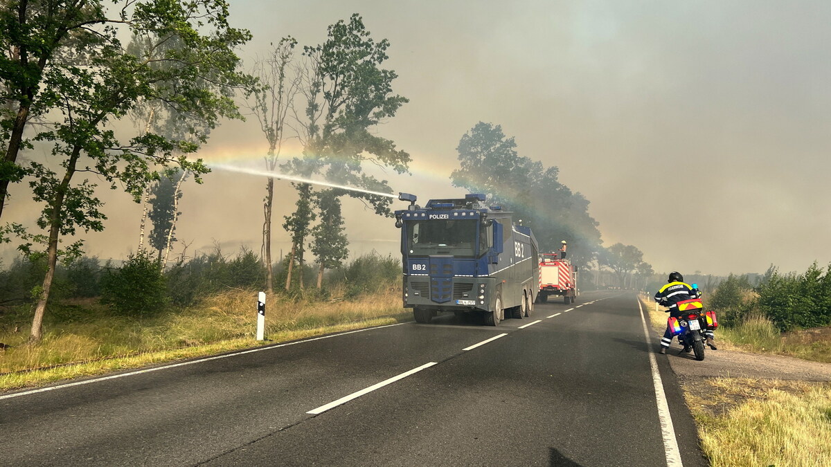 Smell of fire in Dresden: fire brigade sees connection with forest fire in Treuenbrietzen (Brandenburg)