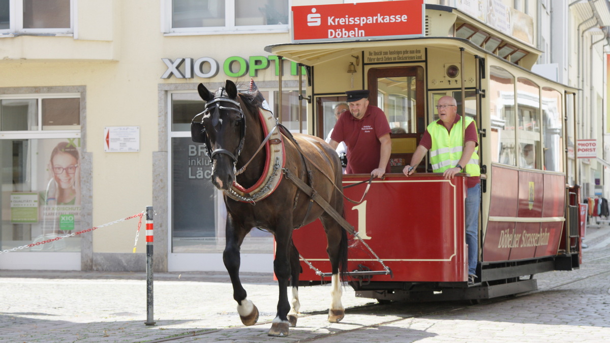 Döbeln: Döbelner horse tram ride