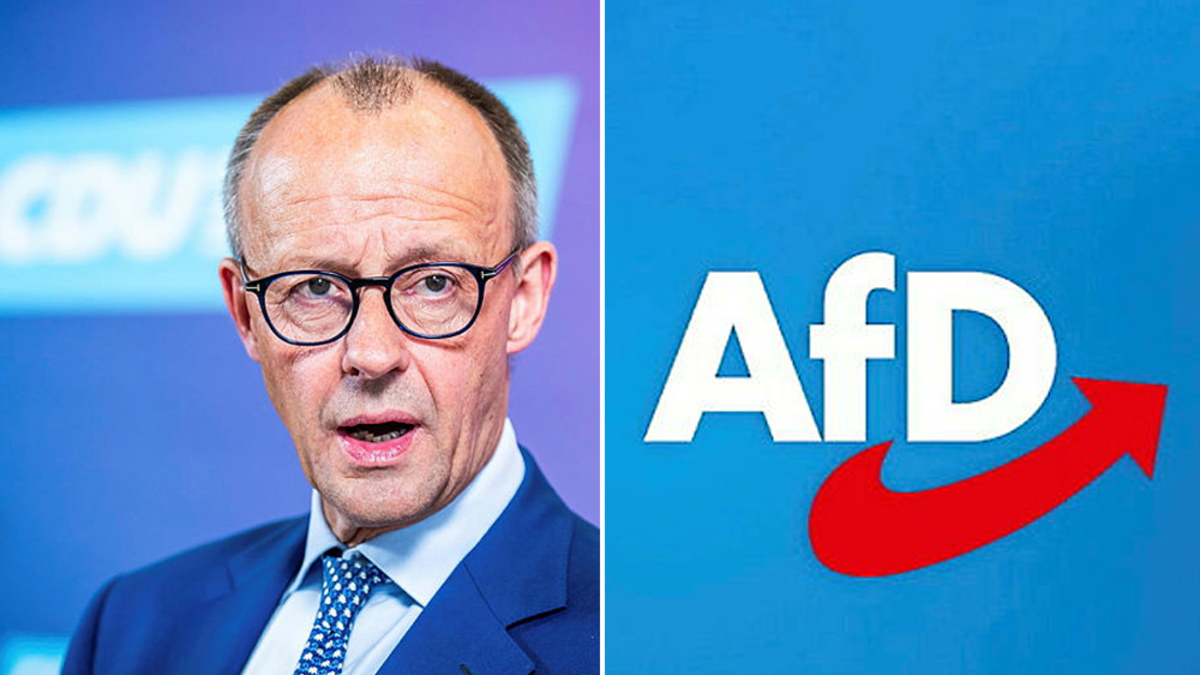 Jeder Dritte Stimmt Merz' Aussage Zum Umgang Mit AfD In Kommunen Zu ...