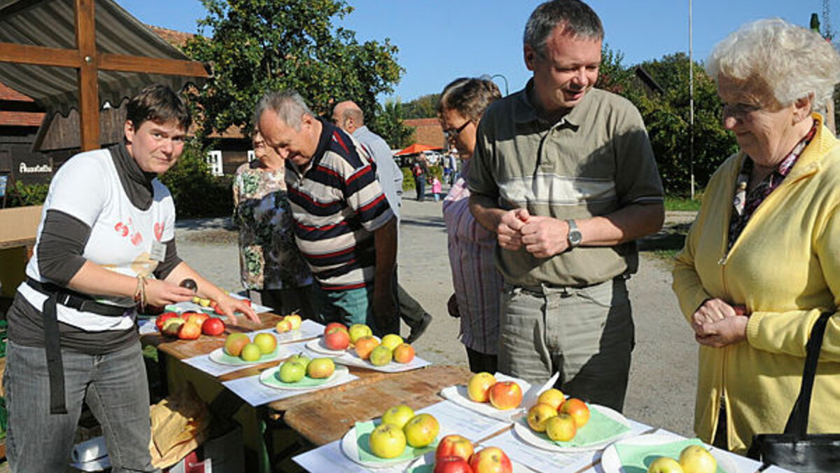 Großes Herbst-Fest-Wochenende im Rietschener Erlichthof: Nicht nur Fisch, auch verschiedene regionale Obstsorten werden dann wieder präsentiert und probiert.