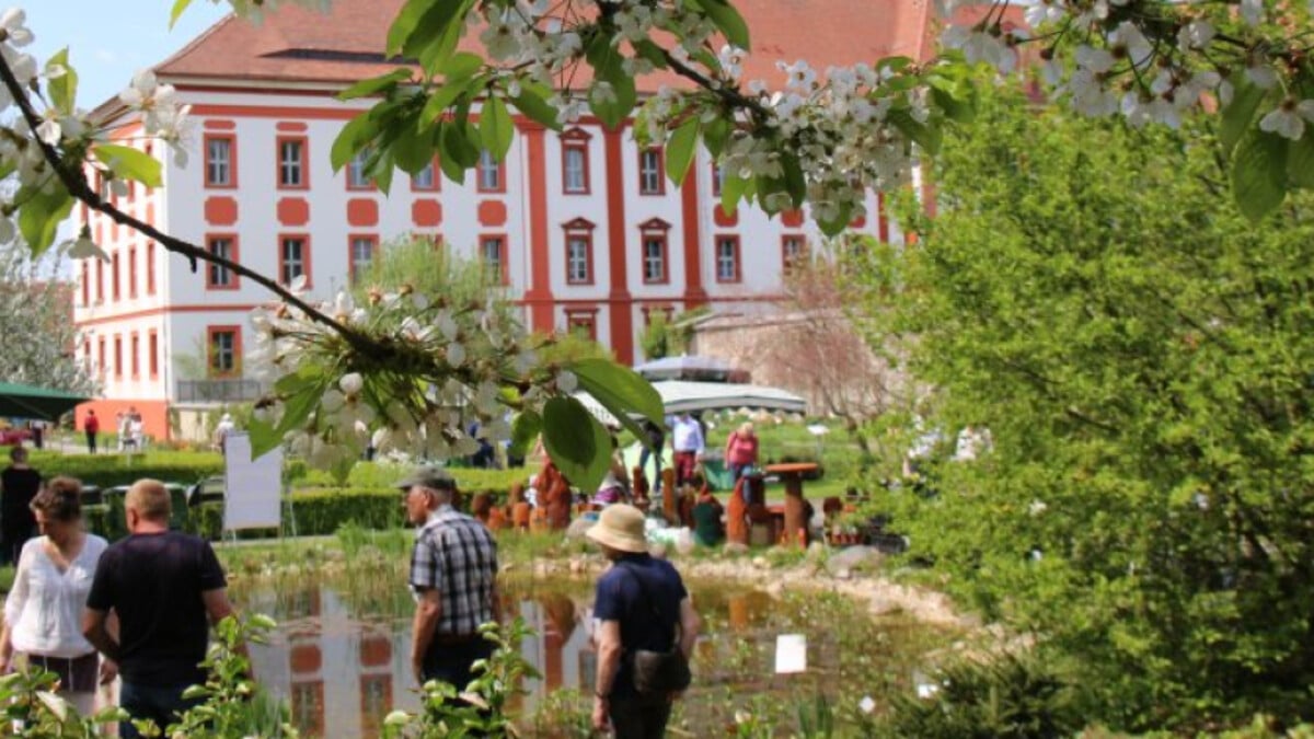Der Frühling kommt zurück - rechtzeitig zur Saisoneröffnung im Klostergarten Panschwitz.