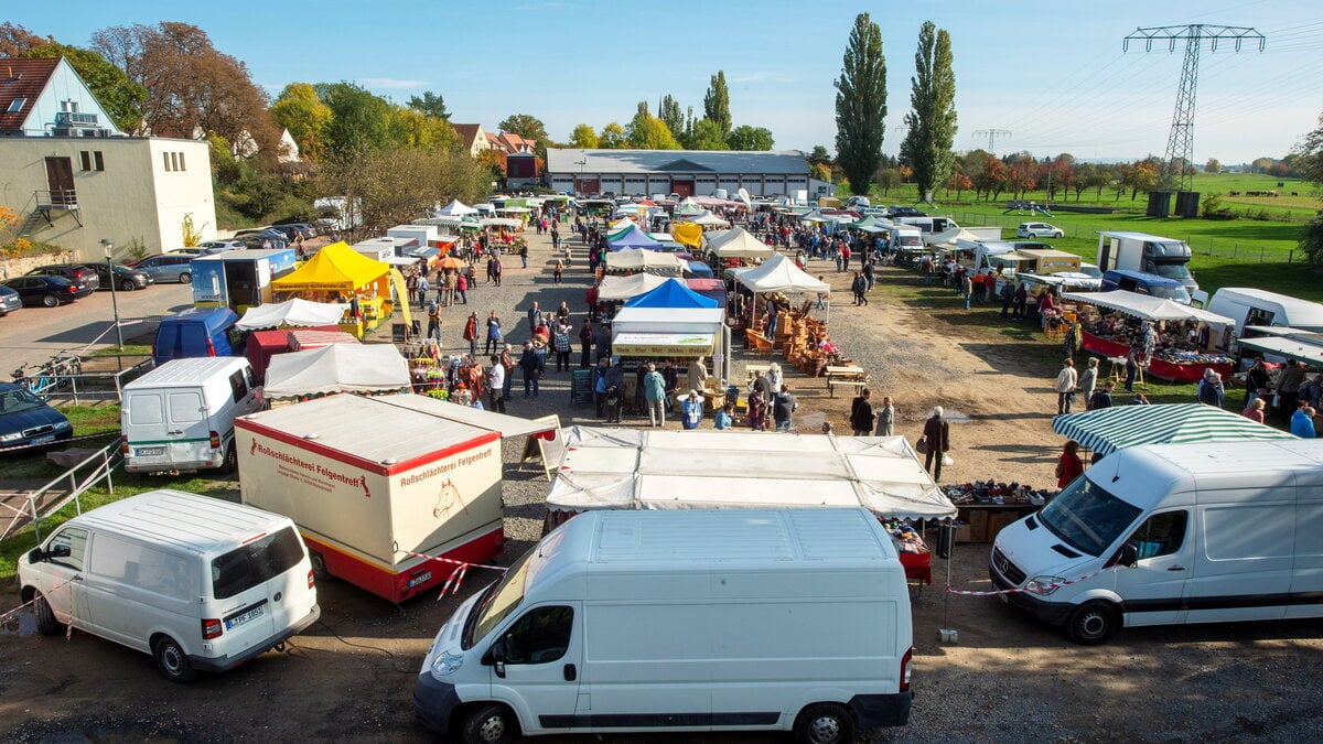 Radebeul Bauernmarkt auf der Festwiese in Radebeul Sächsische.de