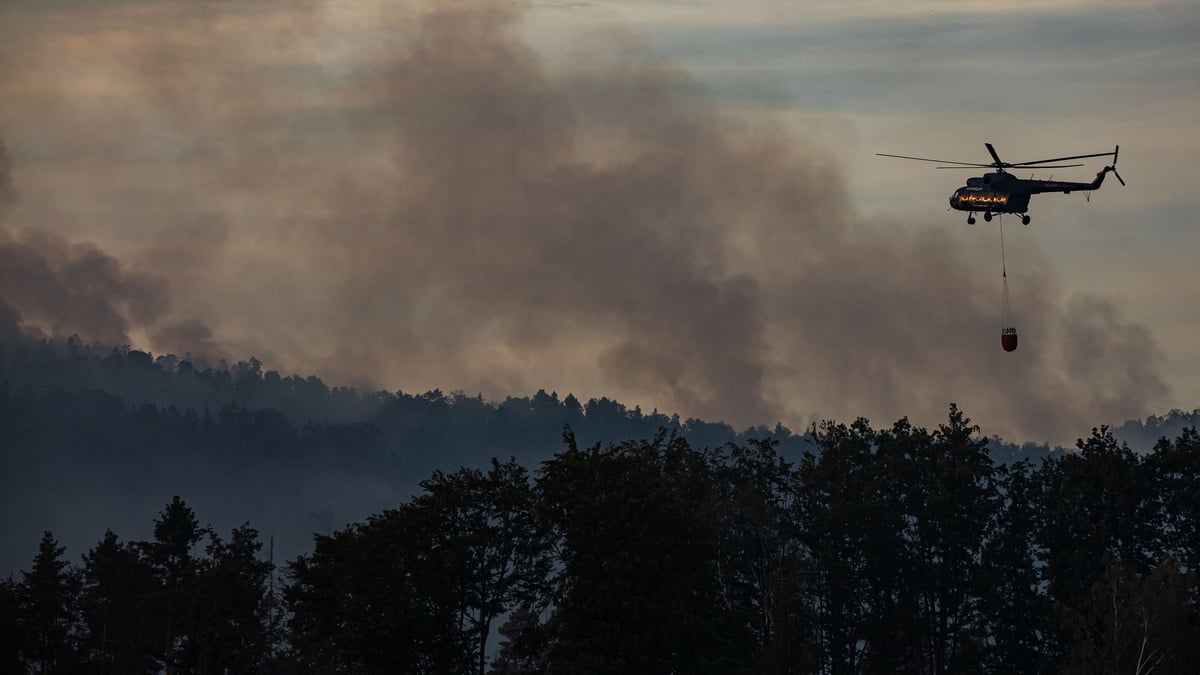 Pożary lasów w Szwajcarii Saksońskiej: Kretschmer w ogniu: „Łamię mi serce, gdy widzę Saksońską Szwajcarię w ten sposób”