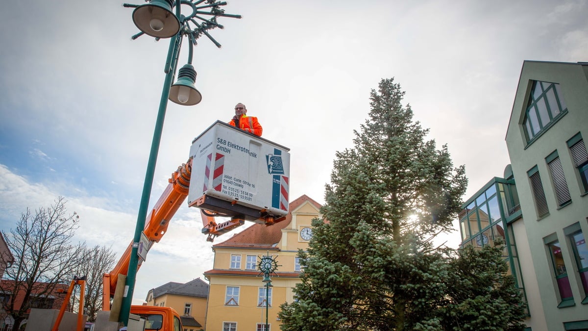 Radebeul Weihnachtsbaum schmückt jetzt Weinböhla Sächsische.de