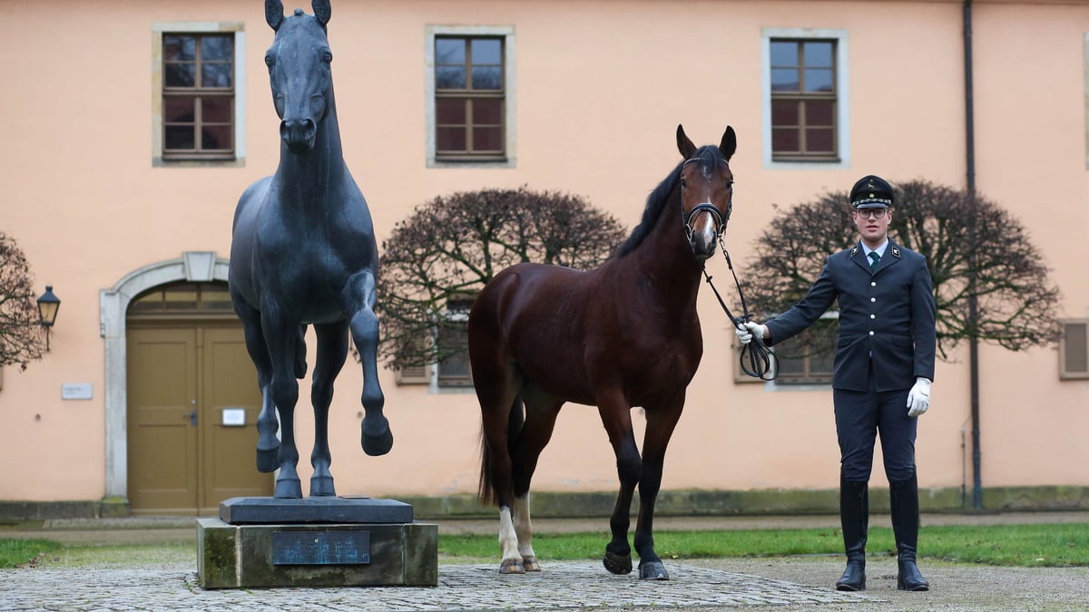 Wem gehört das Landgestüt Moritzburg?