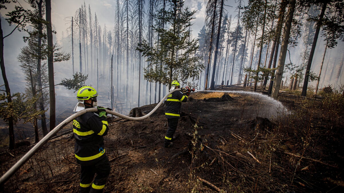 Incendios forestales en la Suiza sajona: las brasas preocupan a los bomberos;  Se viene Lambrecht