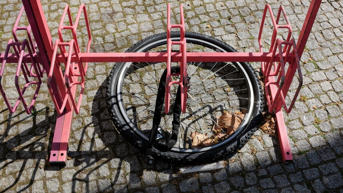 Cycle protection for as low as 32 euros annually