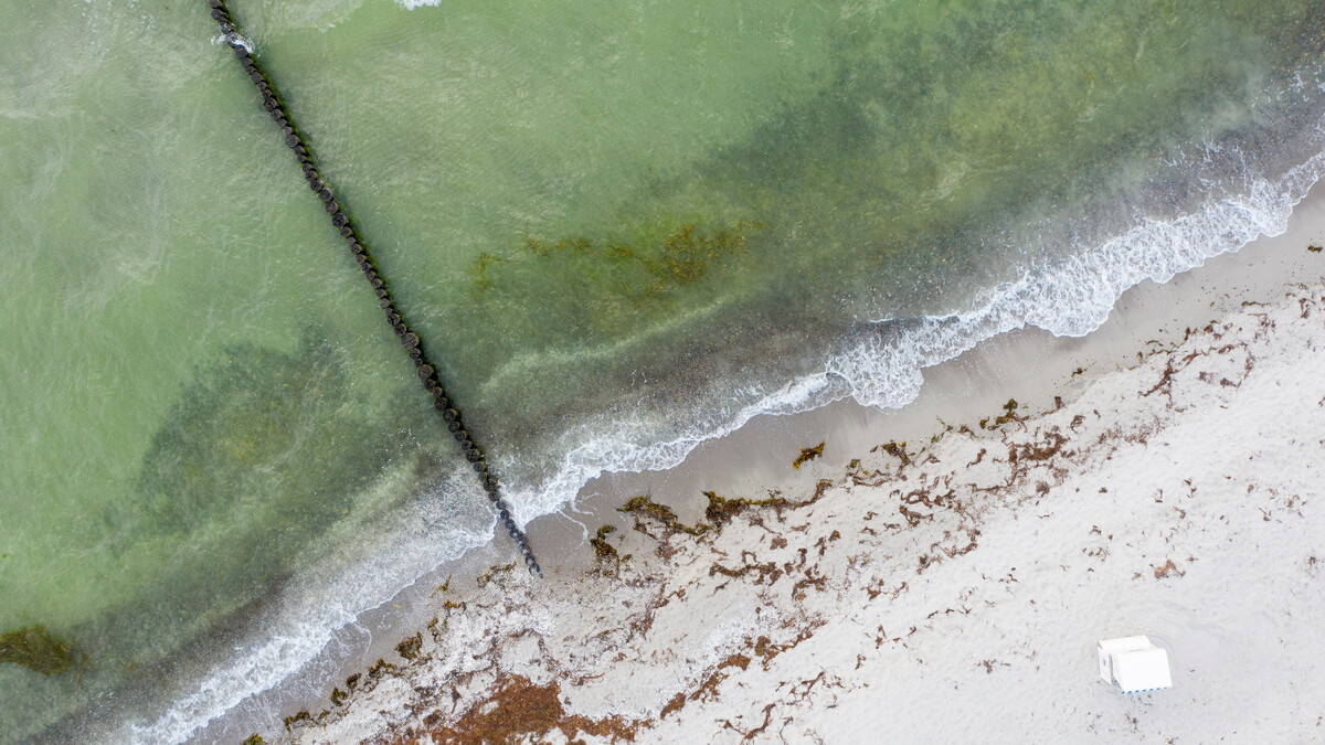 Vibrionen in der Ostsee Was man über die Bakterien wissen sollte