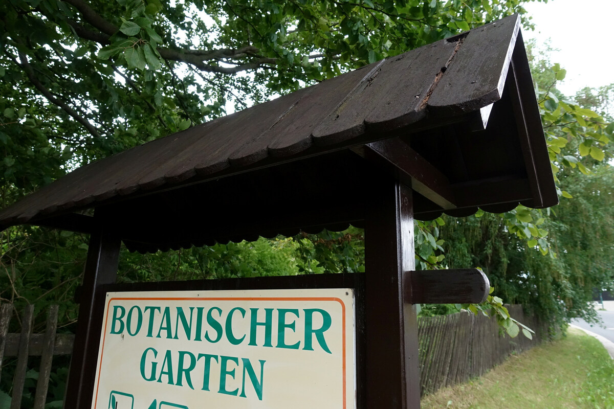 Wer will dem Botanischen Garten helfen? Sächsische.de