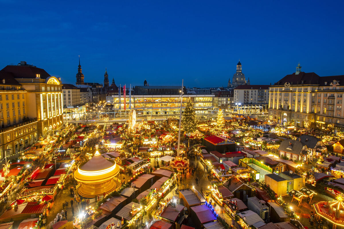 Dresden StriezelmarktBaum ist gefunden Sächsische.de