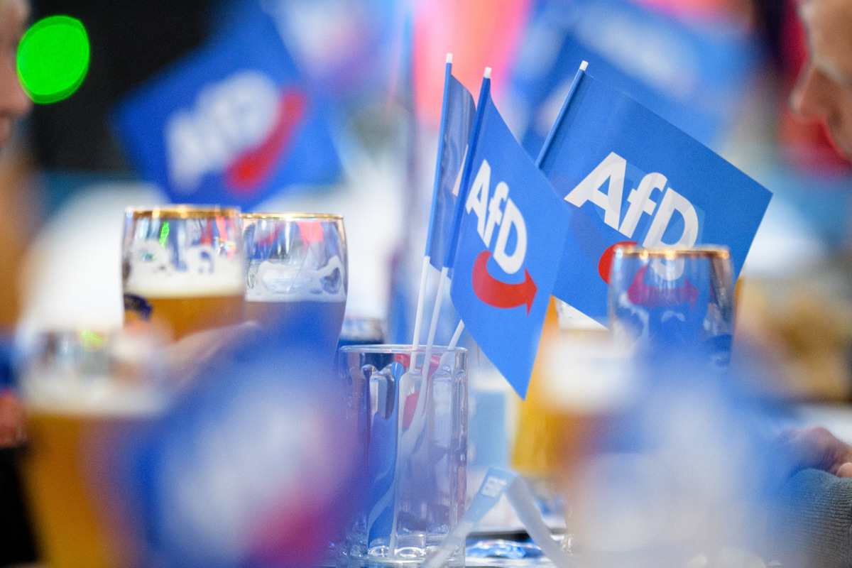 Leipzig verbietet AfD-Wahlplakat | Sächsische.de