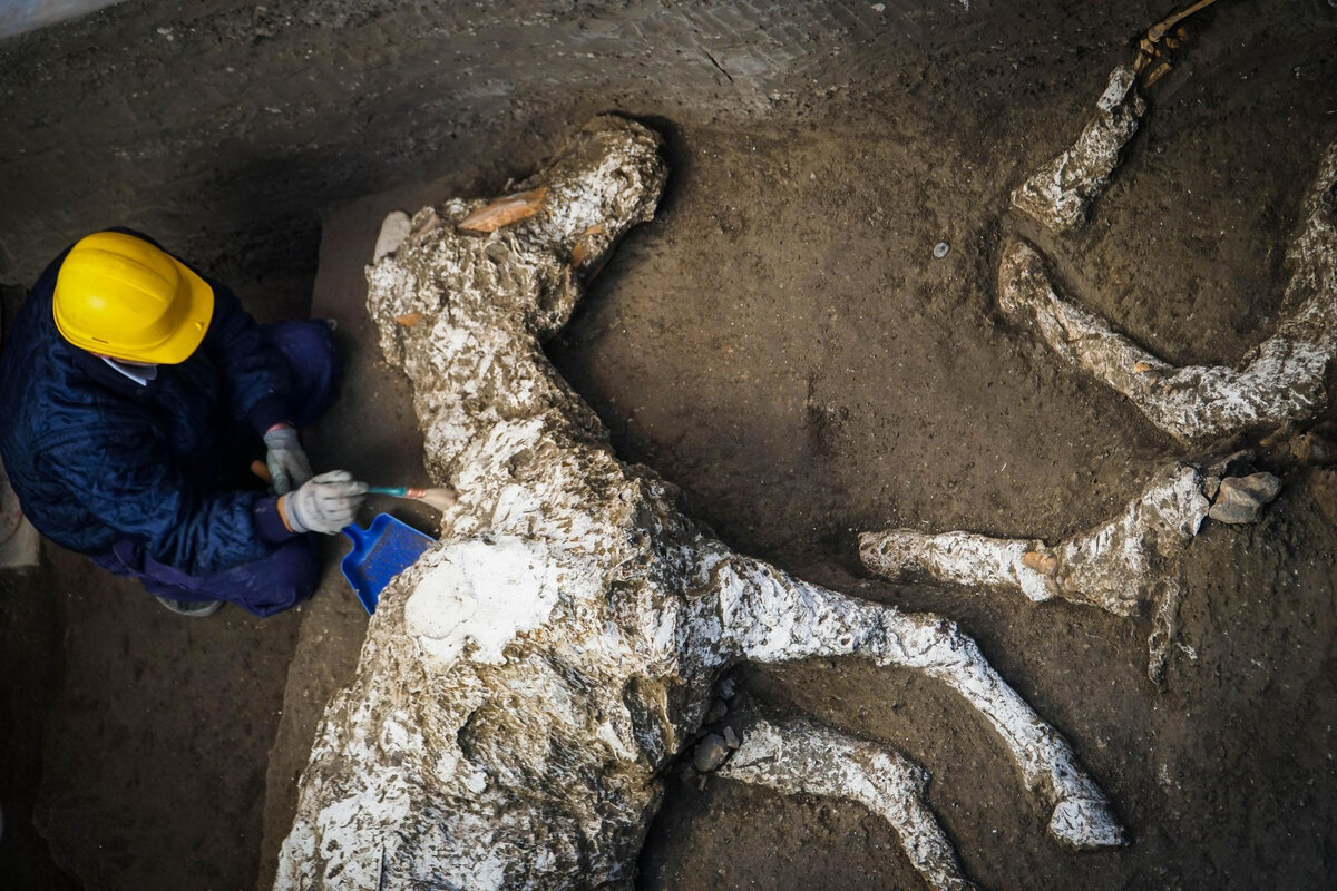 Spektakularer Fund Bei Pompeji Sachsische De