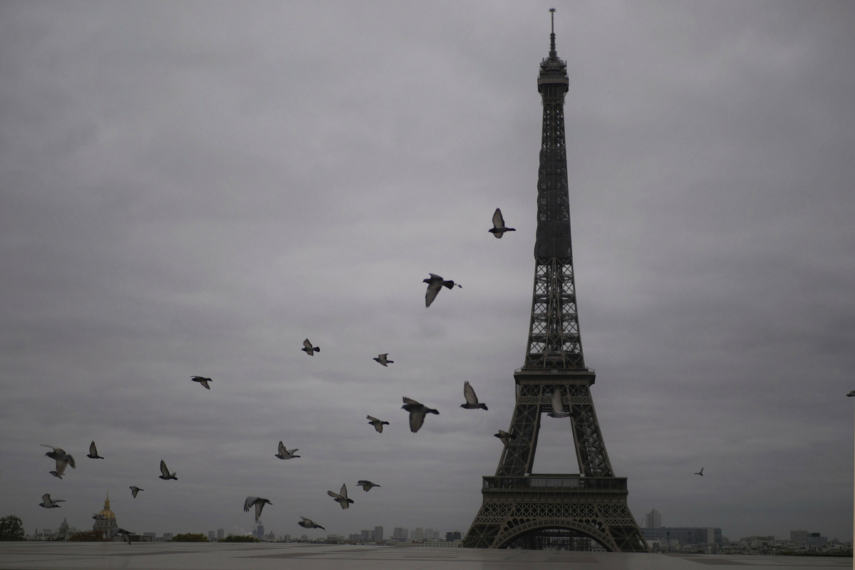 Frankreich Lost Turkische Graue Wolfe Auf Sachsische De