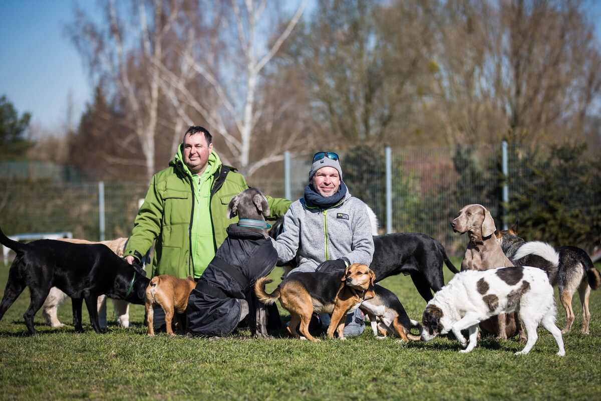 Wie eine HundeKita Jobs sichert Sächsische.de