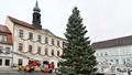 Radeberger Weihnachtsbaum im Eiltempo aufgestellt