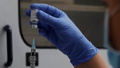 "Totimpfstoffe" Novavax und Valneva: Alle wichtigen Infos