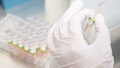 Landkreis Bautzen bekommt ein mobiles PCR-Test-Labor
