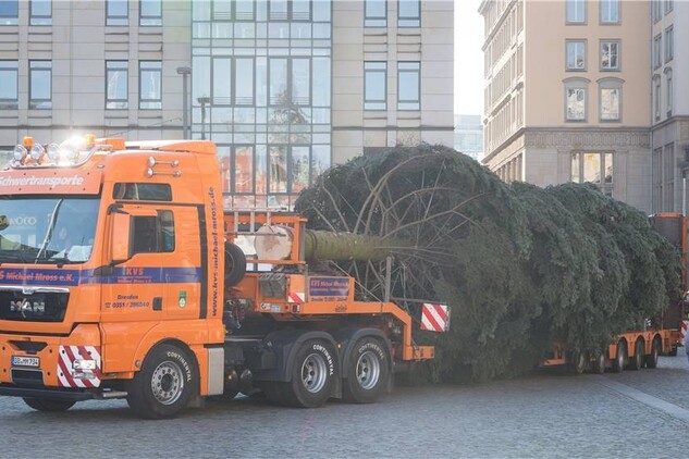 Die StriezelmarktTanne steht Sächsische.de