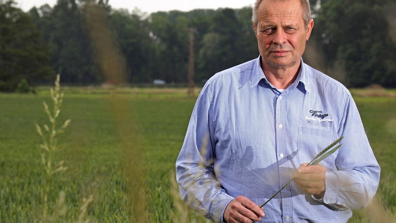 Der neue Chef des FDP-Ortsverbands Riesa: Andreas Wilhelm,
selbstständiger Agrarberater.