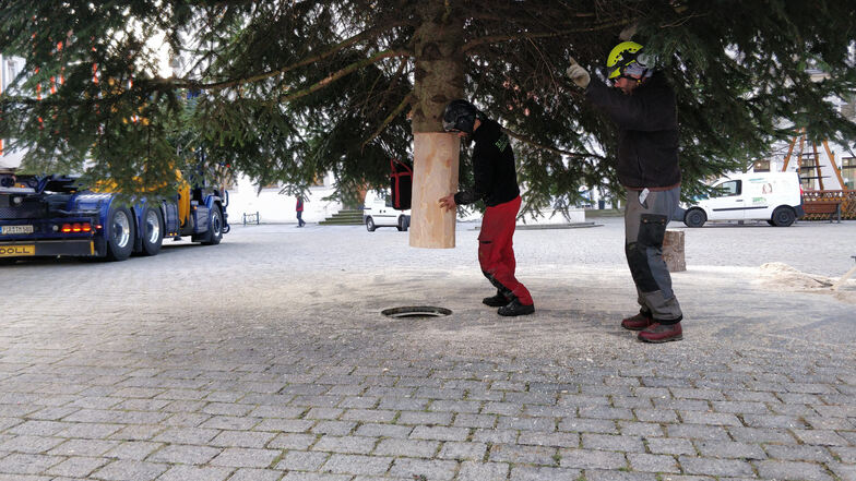 Stefan Vollhardt führt den Baum in die Hülse auf dem Dippser Markt ein. Ruben Stiehler dirigiert den Kran. 