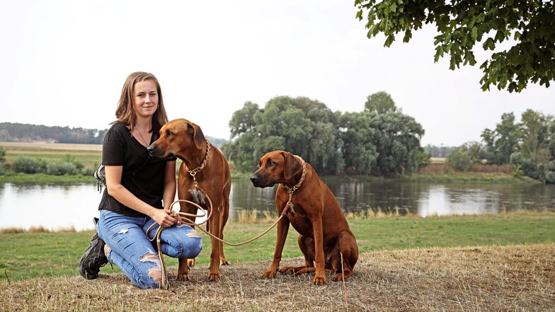 Nünchritzer Hundeduo steht Modell für Kalender
