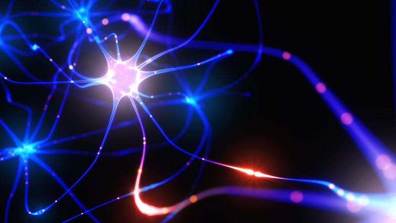 Neuronen senden Signale zwischen den Nervenzellen. Genau wie das menschliche Gehirn soll die neue Generation von Mikrochips arbeiten.