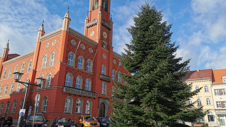 Traditionell wurde am Montag vor dem ersten Advent der Weihnachtsbaum auf dem Kamenzer Marktplatz aufgestellt. Die Nordmanntanne kommt aus Schiedel und ist etwa zehn Meter hoch.
