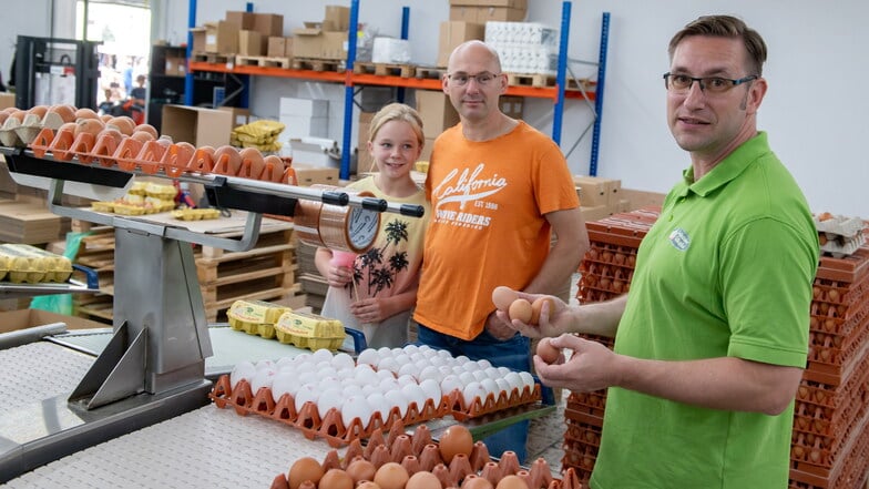 Beim Hoffest beim Großenhainer Geflügelhof war das Interesse für den Ablauf an der Sortieranlage groß. Hier erklärt Fabian Riedel Rebecca und Enrico Thiel die Eiersortierung nach Größe und Farbe am Fließband.