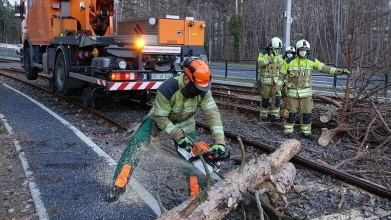 Einsatzkräfte beseitigen einen umgestürzten Baum aus dem Gleisbereich der Dresdner Verkehrsbetriebe. Mehrere Bäume im Stadtgebiet fielen dem Sturmtief "Nadia" zum Opfer.