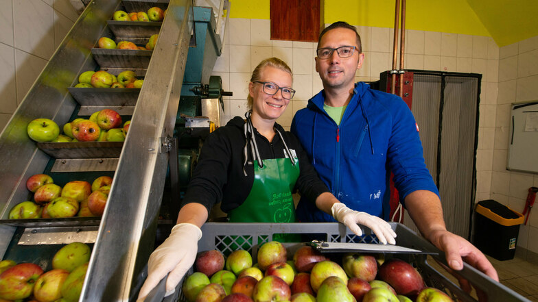 In der Mosterei Petzold in Seifersdorf läuft die Apfelpresse auf vollen Touren. Nadine (32) und Rico Petzold (38) betreiben die kleine Firma seit drei Jahren im Nebengeschäft.
