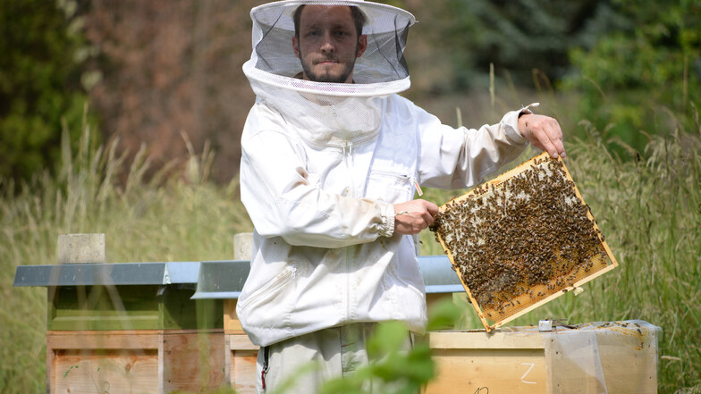 Steffen Braun ist Imker in Nieder Seifersdorf. Seit fünf Jahren betreibt der IT-Techniker das Hobby und besitzt 14 Bienenvölker.