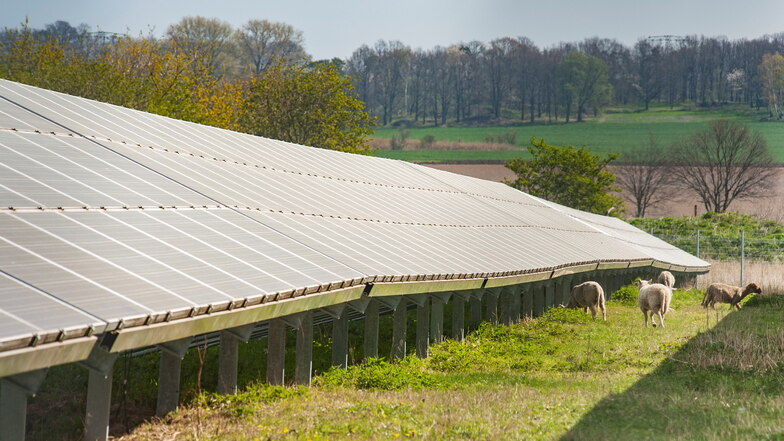 Wie groß sollten Solaranlagen sein? In Großenhain soll das entsprechende Leitbild überarbeitet werden. Landwirte wollen da einbezogen werden - schließlich geht es um ihre Zukunft.