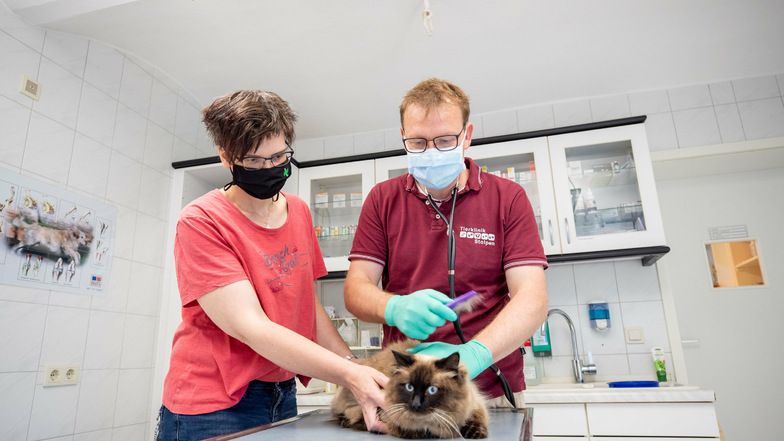 Tierarzt Dr. med. vet. Frank Düring (rechts) mit Dina Deus (links) und Kater Leopold im Behandlungsraum.
