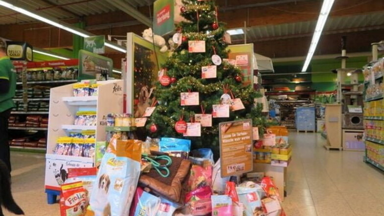 Viele Spenden sammelten sich in der Adventszeit unter den Weihnachtsbäumen in den Märkten an. Sie kommen dem Tierheim in Horka zugute.