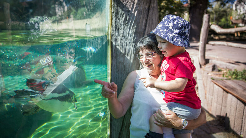 Die Pinguine sind die Lieblingstiere von Matti. Regelmäßig unternimmt Ria Scheller Oma-Enkel-Ausflüge mit dem Zweijährigen.