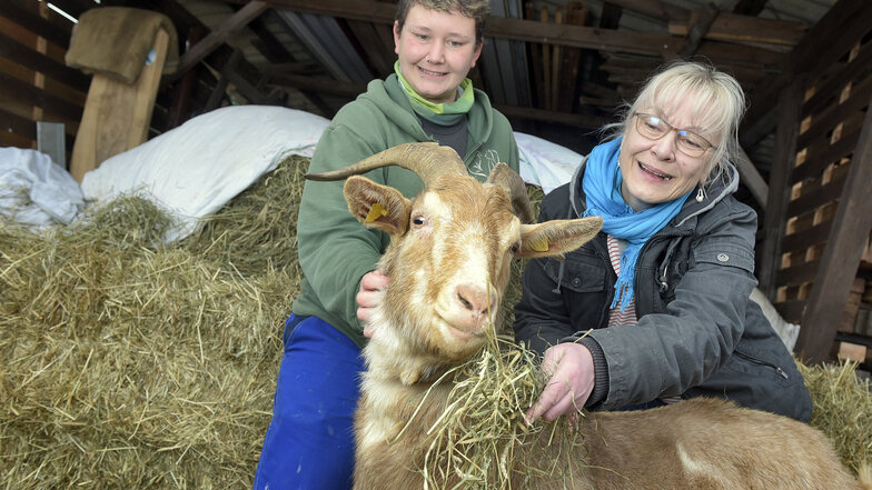 Das Tierheim Ostrau hat Heu für die Ziegen gespendet bekommen. Über die Spendenbereitschaft freuen sich die Mitarbeiter Yvonne Jarosinski (links) und Carmen Posner.