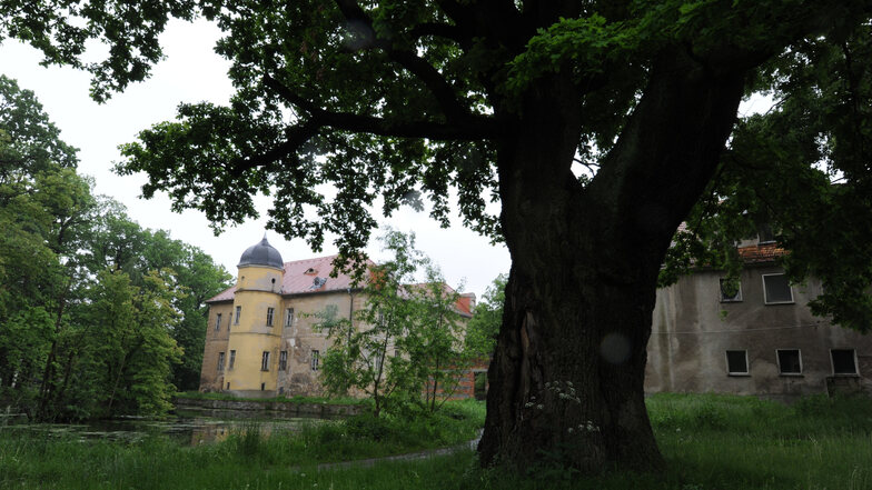 Der Berbisdorfer Park am Schloss.