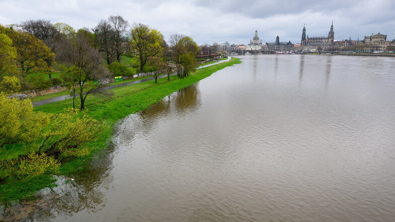 Schon am Montag war die Elbe in Dresden so breit wie lange nicht.