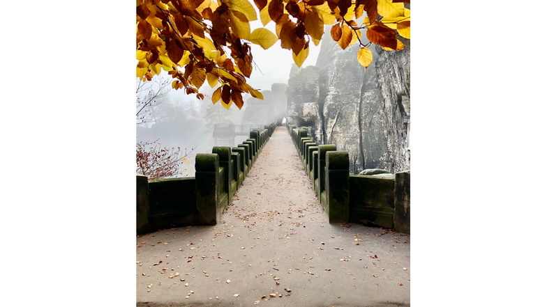 November auf der Bastei: Auch der Herbst hat schöne Tage. Das beweist das Foto von Doreen Nemela aus Hohnstein.