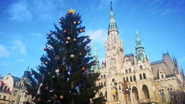 Vorm Rathaus in Liberec steht der Weihnachtsbaum.