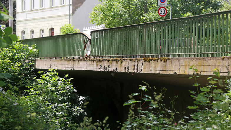 2018 war ein Baum auf die Röhrbornbrücke an der Großenhainer Straße gestürzt. Das ist noch immer gut zu sehen.