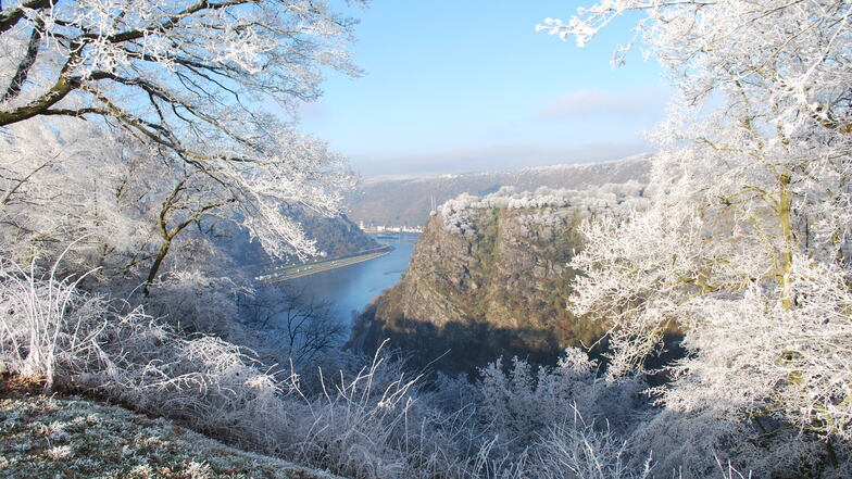 Winterwunder an der Loreley