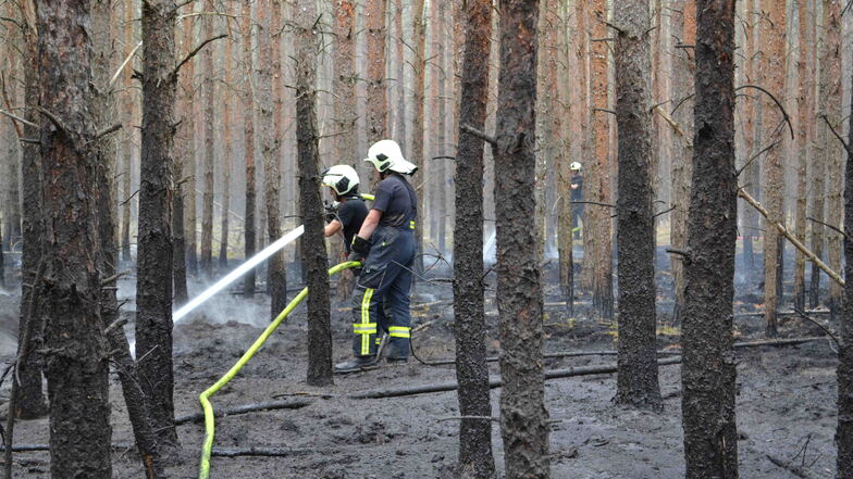 In den letzten Wochen gab es im Kreis Bautzen mehrere Waldbrände. Erst am Sonnabend brannte es zum Beispiel in Bernsdorf. Laut Polizeidirektion Görlitz hatten Unbekannte das Unterholz eines Waldstückes entzündet.