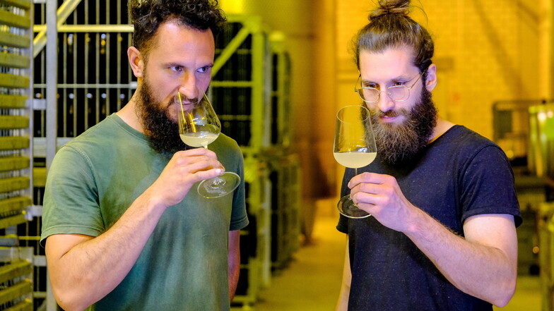 Die Winzer-Azubis Matthew White (l.) und Max Gerbach probieren im Weinkeller von Schloss Wackerbarth ihren ersten selbst hergestellten Sekt. Im Weinglas lassen sich besser die Aromen wahrnehmen.