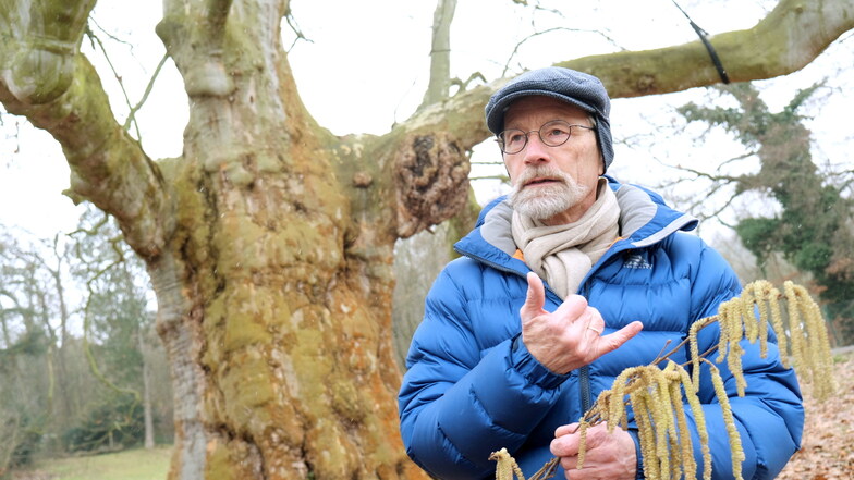 Forstwissenschaftler Andreas Roloff liebt alte Bäume. Als Leiter des Kuratoriums Nationalerbe-Bäume tourt er durch Deutschland, um diese zu schützen.