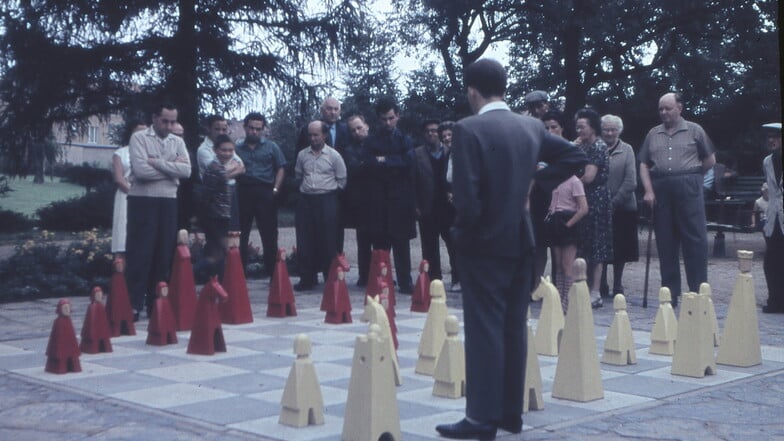 Das Bild aus dem Jahr 1965 zeigt das Schachspiel im Görlitzer Birkenwäldchen. Diese Schachfiguren werden gerade aufgearbeitet.