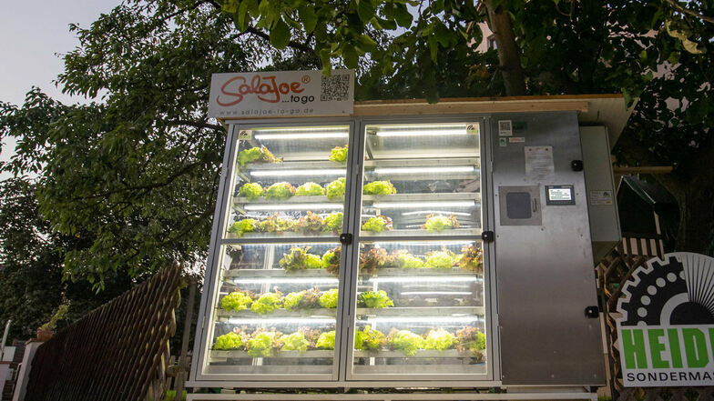 Der Automat für Salate mit Wurzelballen in Nürnberg  haben eine Gärtnermeister und ein Maschinenbauer zusammen entwickelt, um Lebensmittelverschwendung zu vermeiden und Verpackungsmüll zu reduzieren.