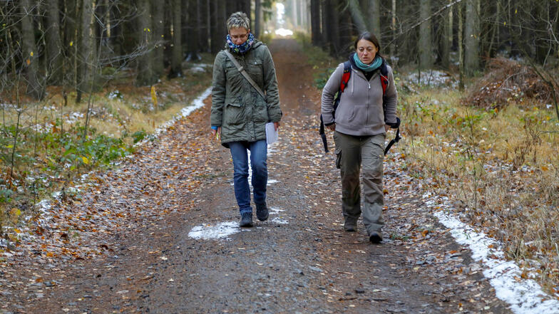 Helene Möslinger und SZ-Reporterin Anja Beutler auf der Spur der Wölfe im Waldstück bei Großhennersdorf.