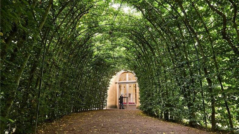 Grüner Tunnel: Im „Großen Park“ führen Laubengänge zum kleinen Pavillon aus dem 18. Jahrhundert.