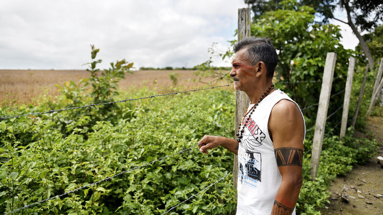 Paulo da Silva Bezerra, Dorfbewohner von Açaizal, blickt von der Umzäunung seines kleines Hofes auf ein direkt angrenzendes Soja-Feld. Wenn Pflanzengifte versprüht werden, trägt diese der Wind bis in die Häuser. 